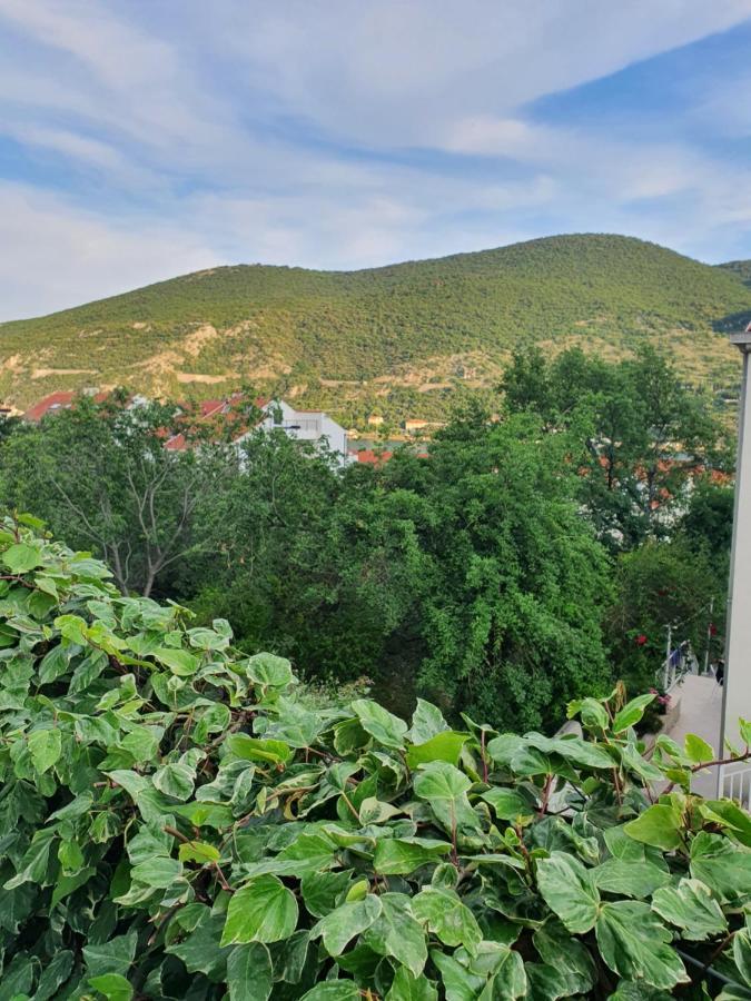 Apartment Rita Mokošica Dış mekan fotoğraf